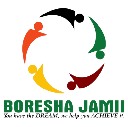 Boresha Jamii Innovations Logo
