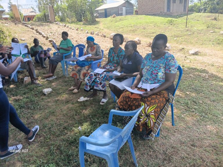 Boresha Jamii Boresha Shamba farm inputs