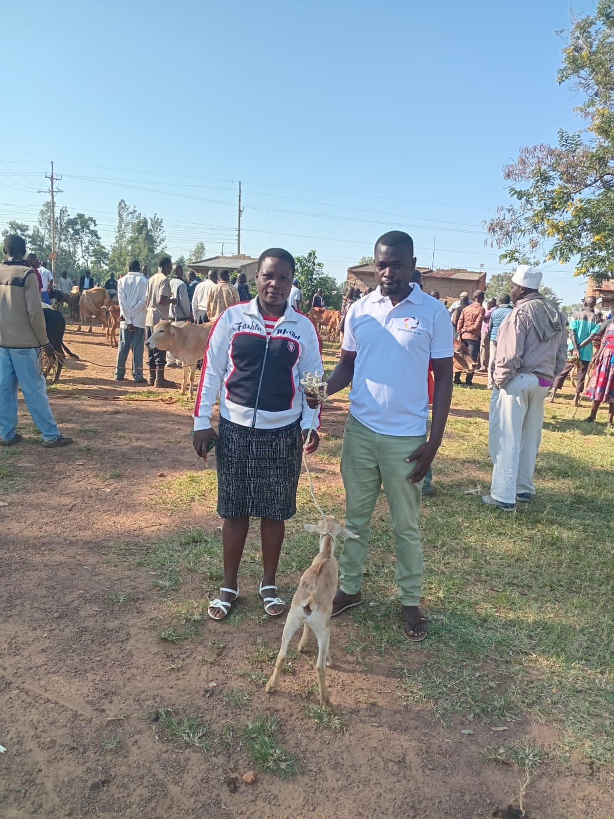 Boresha Shamba member success story